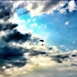 sky dubai parachutist skydivedubai skydive